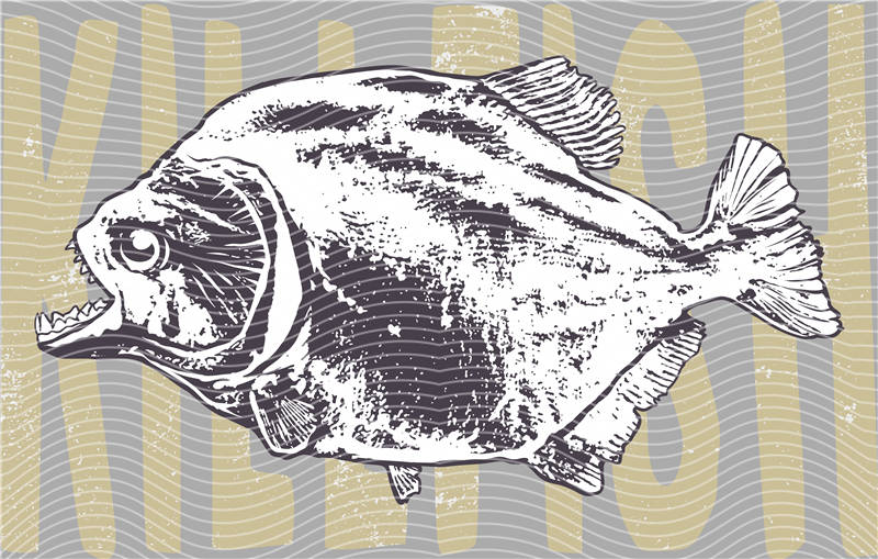 Fishing Series-DY 174